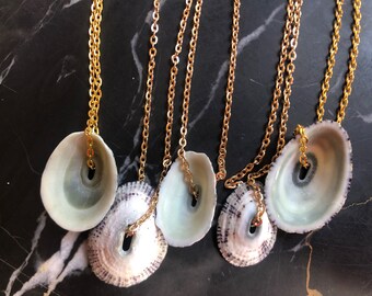 Keyhole limpet shell necklace;  Costa Rican shells; boho gift