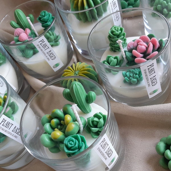 Succulent candle - cacti candles - cactus - plant lover - soy wax - plant based - essential oils-