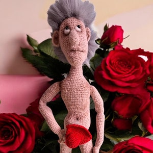Quirky Crochet Doll,Romantic Valentine&#39;s Day Gift,Knitted doll for adults,Penis doll,gift for adults