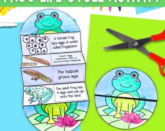 Life cycle of a frog foldable kids' craft | A4 and 11x8.5 inch | Printables | Science craft | Digital download | | Cut and paste activty