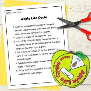 Life Cycle of an Apple Tree Spinner Wheel Sequencing Activity Fall ...