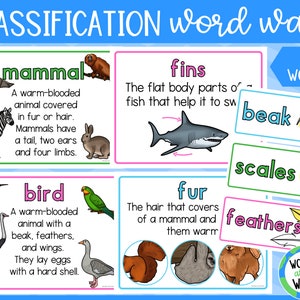 Pared de palabras de vocabulario científico de clasificación de animales vertebrados / opciones de Reino Unido y EE. UU. / descarga digital / PDF imprimible