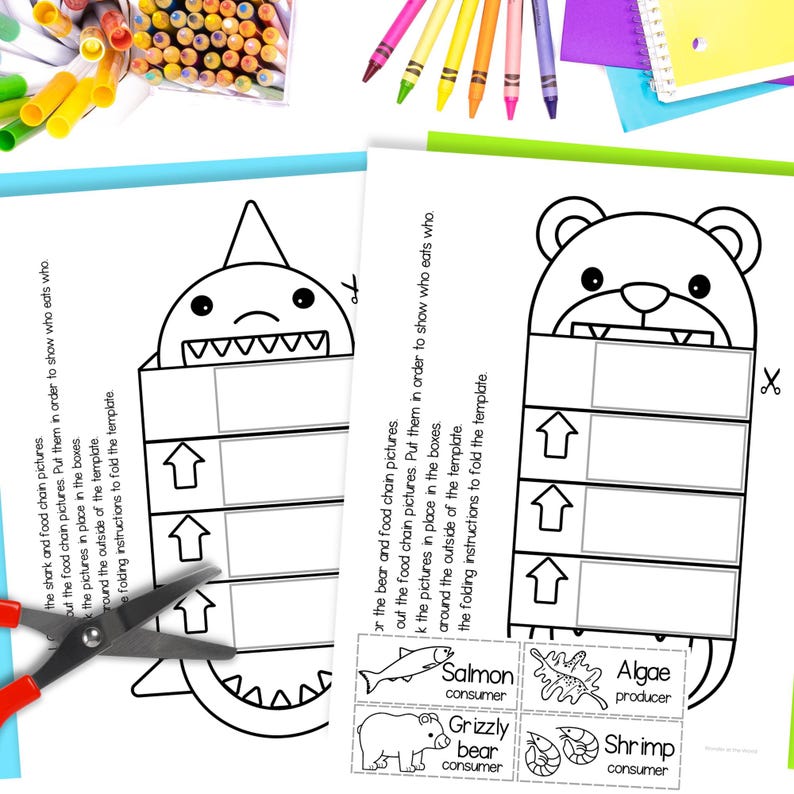 May include: Black and white printable worksheet with a shark and a bear. The worksheet is designed to teach about food chains. The worksheet includes images of salmon, algae, grizzly bear, and shrimp. The text on the worksheet includes the words "consumer", "producer", and "salmon".