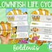 see more listings in the Life cycles section