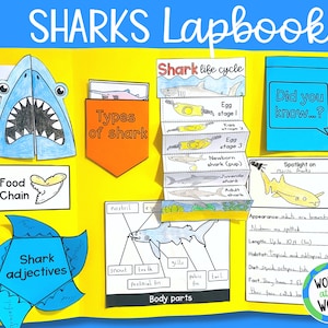 Puede incluir: Un lapbook temático sobre tiburones para niños, con secciones sobre los tipos de tiburones, el ciclo de vida de los tiburones, las partes del cuerpo de los tiburones, adjetivos para describir tiburones y un punto de luz sobre los tiburones nodriza. El lapbook es amarillo con acentos azules, naranjas y verdes.