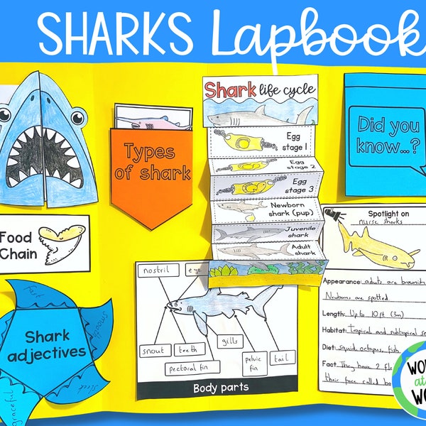 Modèles imprimables de lapbook scientifique Shark | téléchargement numérique | A4 et 11 x 8,5 pouces