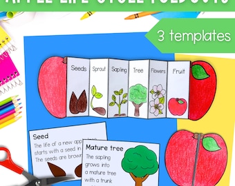 Life cycle of an apple tree foldable activity for kids printable | A4 and 11x8.5 inch | Digital Download | Science | Cut and paste