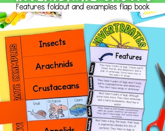 Invertebrates classification groups cut and paste activities match and sort for science lessons digital download PDF