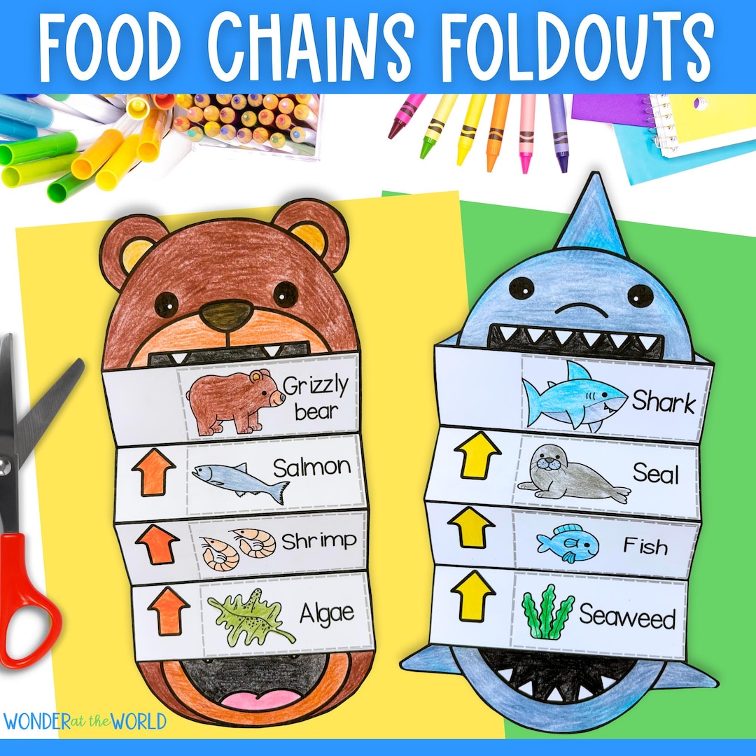 Food Chain Project Fish Food chains foldable kids' craft with shark, bear, snake and lion ...