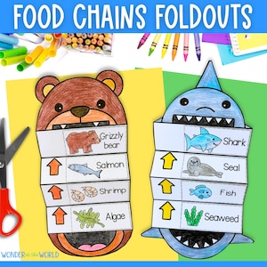 Food chains foldable kids&#39; craft with shark, bear, snake and lion templates Digital Download PDF Science cut and paste activity