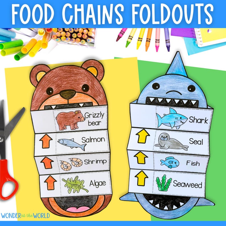 May include: Two printable food chain foldouts, one featuring a grizzly bear eating salmon, shrimp, and algae, and the other featuring a shark eating a seal, fish, and seaweed.
