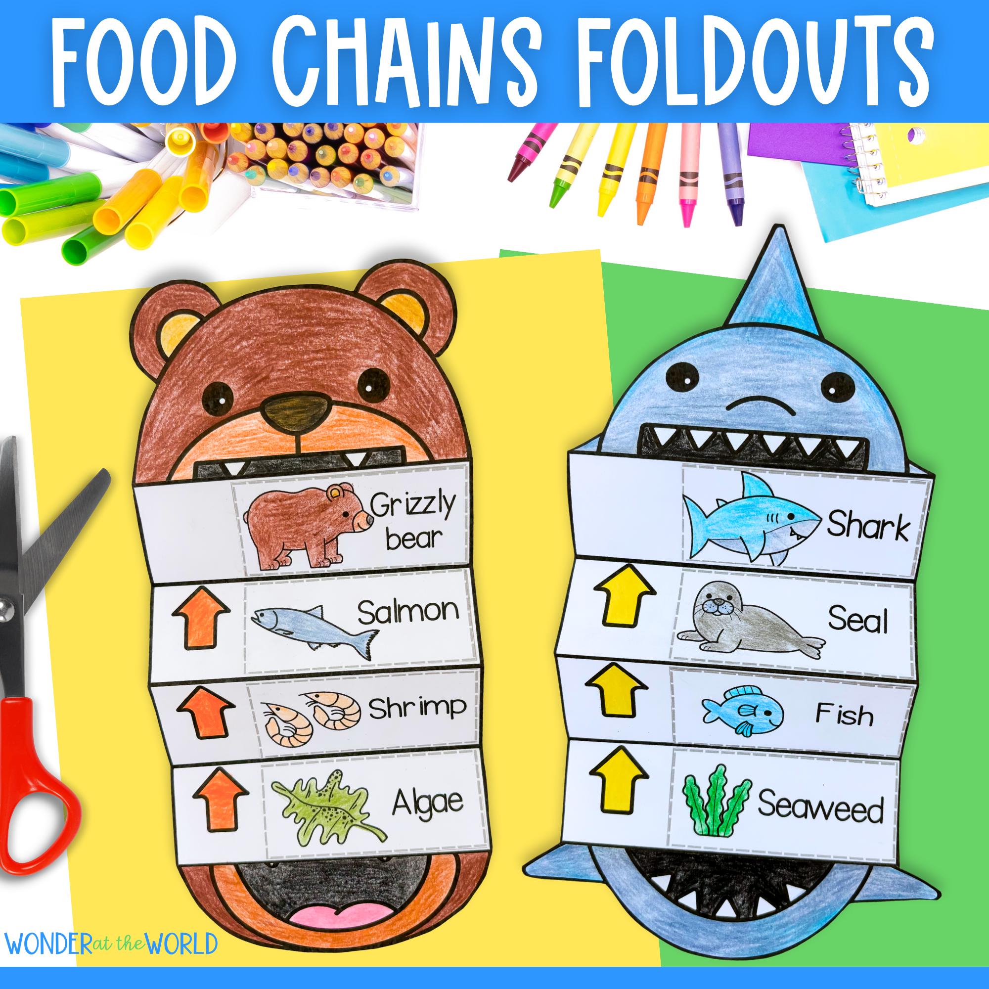 Food chains foldable kids' craft with shark, bear, snake and