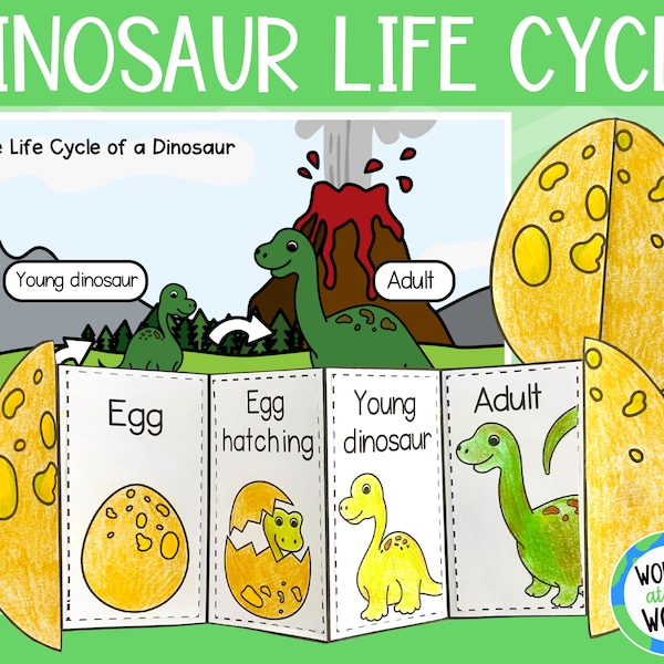 Life cycle of a dinosaur foldable activity for kids | dinosaur printable science craft | A4 and 11x8.5 inch