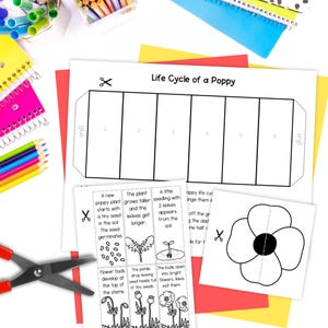 Poppy Life Cycle Foldable Sequencing Activity Cut and Paste Plant ...