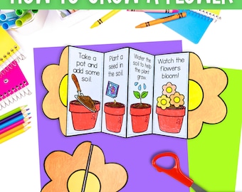 How to grow a flower spring kids printable craft activity | foldable sequencing teaching resource | digital download PDF | A4 and 11x8.5 in