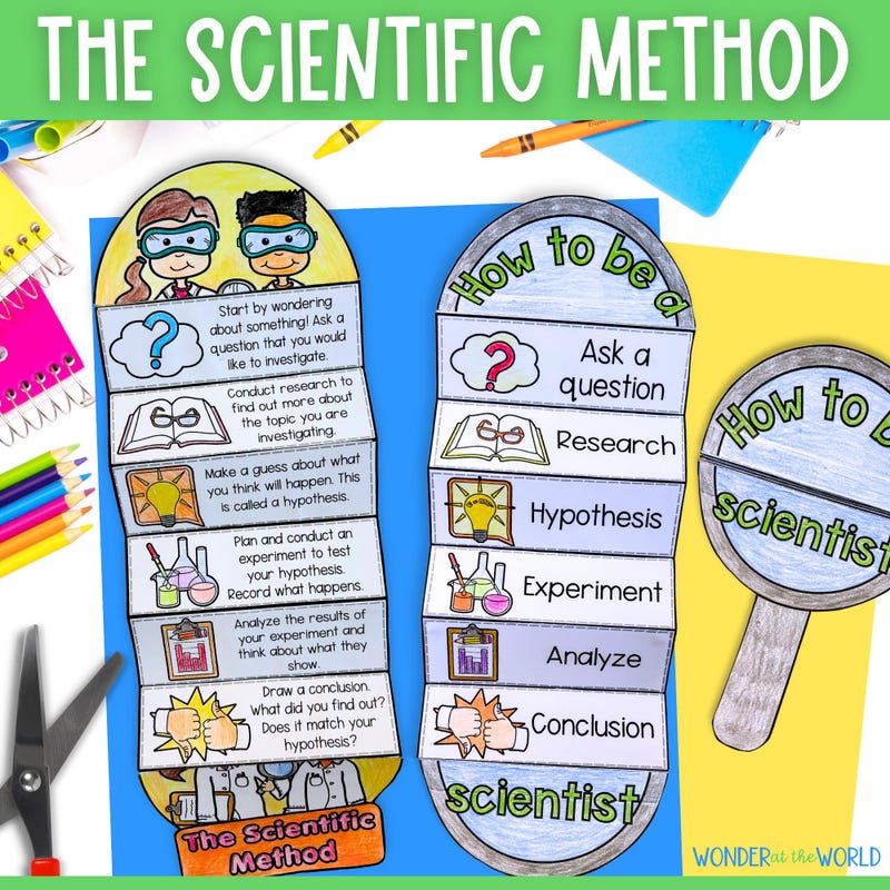 Poster Board Ideas for School Projects - Etsy
