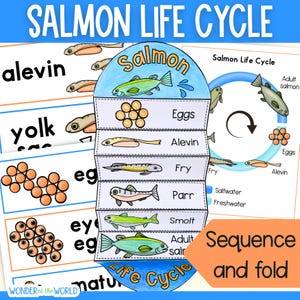 Ciclo de vida de un pez salmón: secuencia y pliegue, actividad científica, vocabulario, pared de palabras, imprimible para niños, tamaño A4 y 8,5 x 11 pulgadas