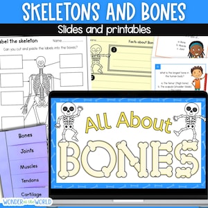 May include: Educational materials for learning about the human skeletal system. Includes worksheets, a laptop screen displaying "All About Bones," and a purple tabbed card listing bone-related topics. The title reads "Skeletons and Bones."