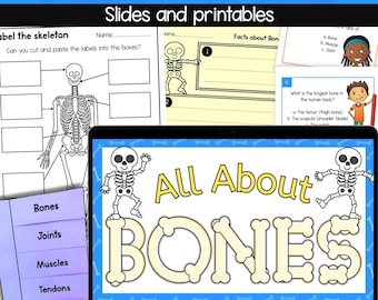 Human skeleton and bones skeletal system lesson with slides printables and cut and paste activities digital download