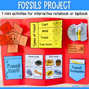 Fossils lapbook or interactive notebook activity printable templates | Earth science | Digital Download | A4 and 11x8.5 inch
