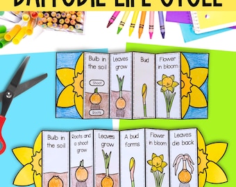 Life Cycle of a Rose Plant Fold and Sequence Craft Activity | Valentine ...