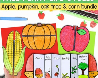 Fall autumn plant life cycles foldable science activities - apple pumpkin oak tree corn PDF Digital Download