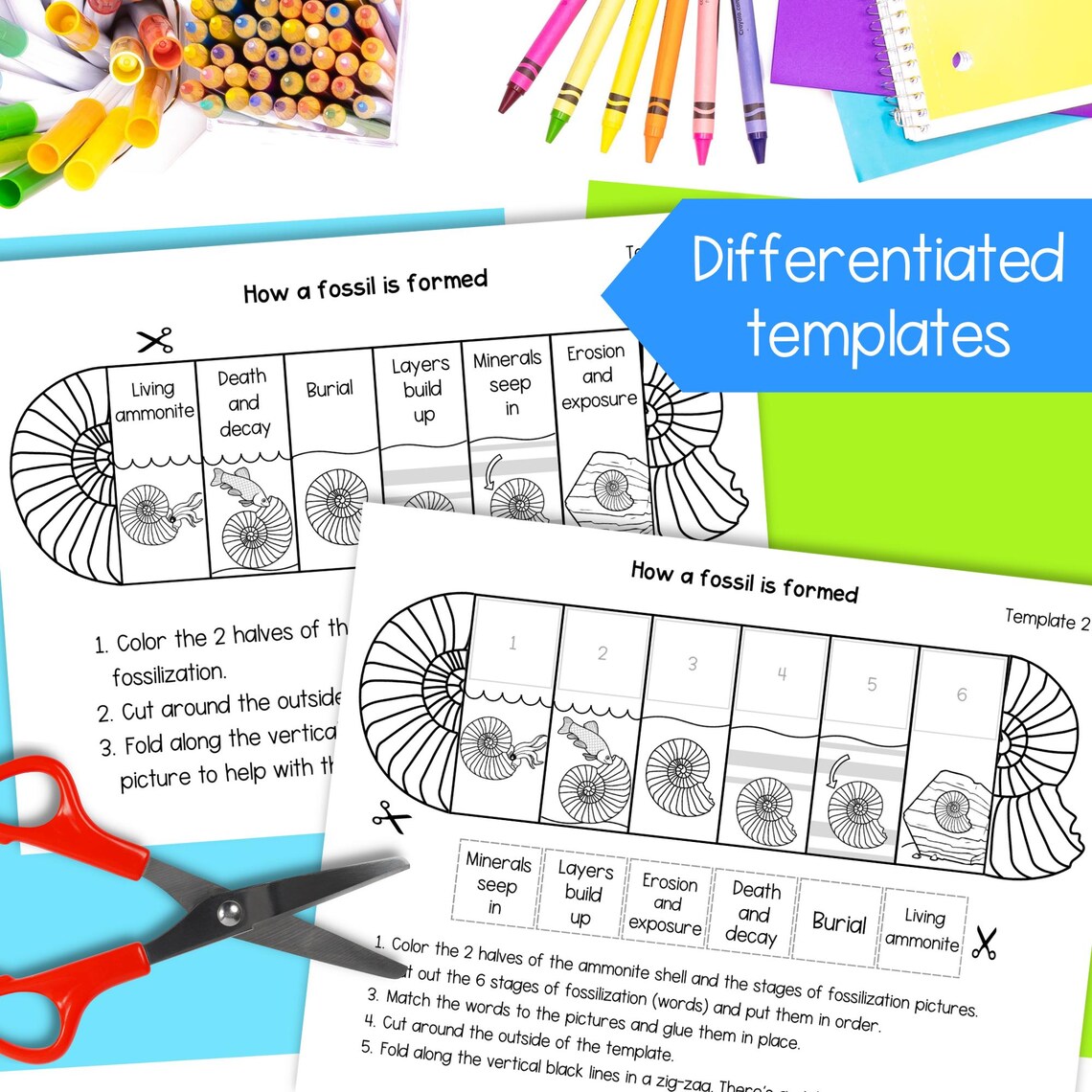 How a Fossil is Formed Foldable Sequencing Activity and Reading ...