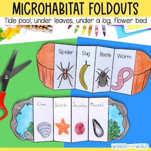 Puede incluir: Un conjunto de tarjetas plegables imprimibles que presentan diferentes microhábitats y los animales que viven en ellos. Las tarjetas incluyen una charca de marea, debajo de un tronco y debajo de las hojas. Los animales incluyen una araña, un caracol, un escarabajo, un gusano, una almeja, una estrella de mar, un erizo de mar y un mejillón.