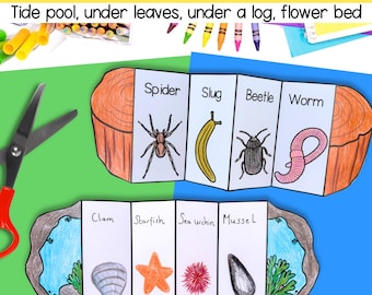 May include: A printable set of foldout cards featuring different microhabitats and the animals that live in them. The cards include a tide pool, under a log, and under leaves. The animals include a spider, slug, beetle, worm, clam, starfish, sea urchin, and mussel.