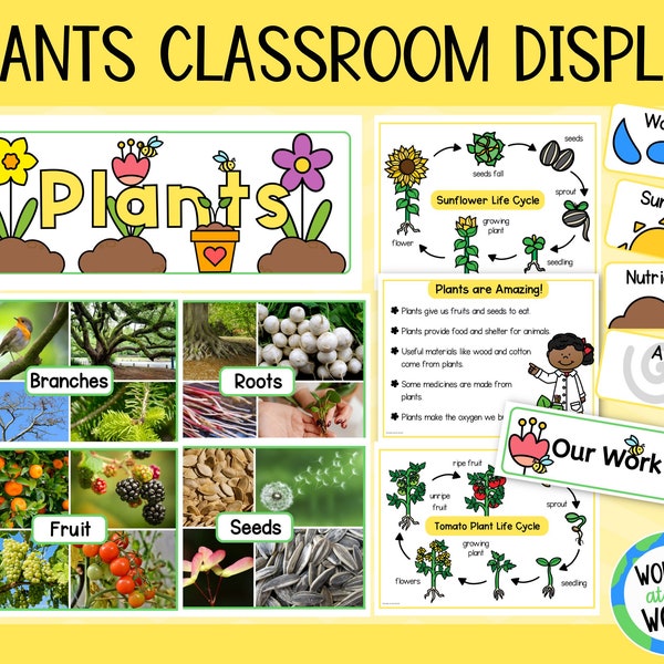 Plants science display for classroom | bulletin board display | plant posters | digital download PDF