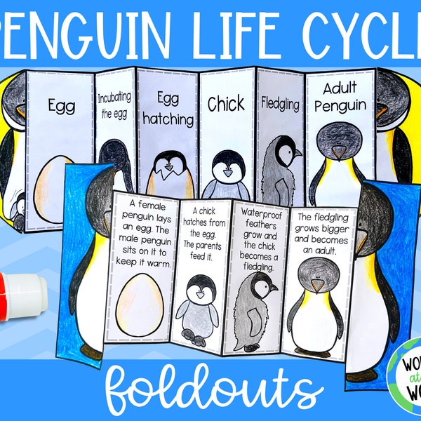 Life cycle of a penguin foldable kids' craft activity | A4 and 11x8.5 inch | Digital Download | Science | Cut and paste