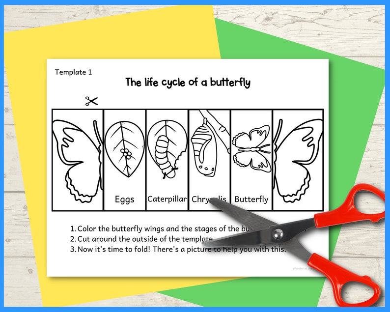 Life Cycle of a Butterfly Foldable Kids' Craft A4 and Etsy UK