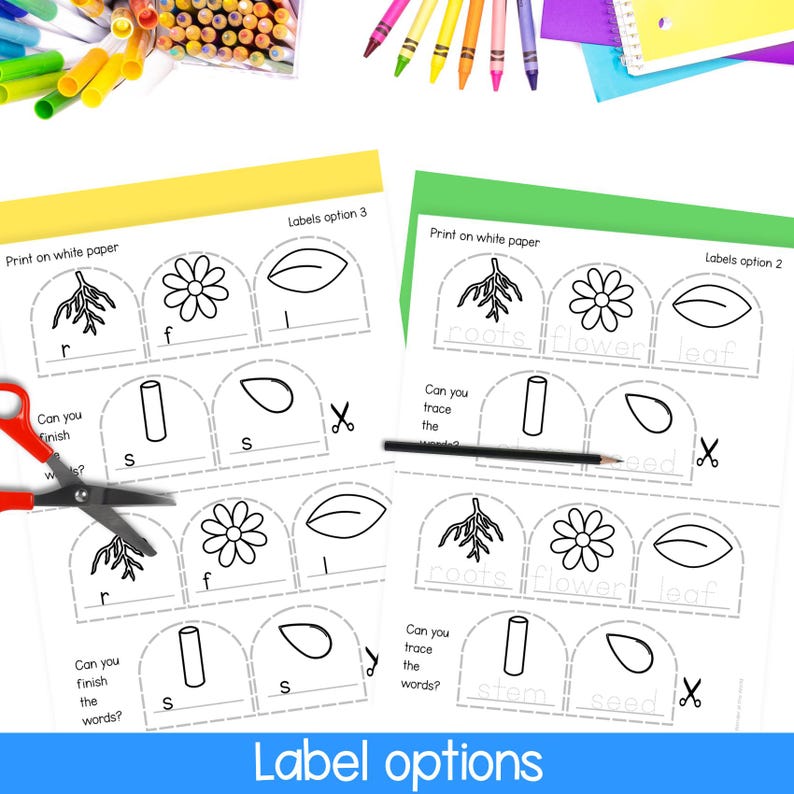 Spring Craftivity First Grade Plant Needs and Parts of a Plant Craft Kindergarten 1st Grade Spring ...