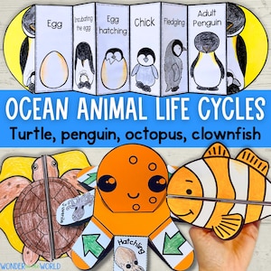 Könnte beinhalten: Ein farbenfrohes Lernschema, das die Lebenszyklen von Meerestieren zeigt, darunter eine Schildkröte, ein Pinguin, ein Oktopus und ein Clownfisch. Das Schema zeigt Illustrationen jedes Tieres in verschiedenen Stadien seines Lebenszyklus, vom Ei bis zum Erwachsenen.