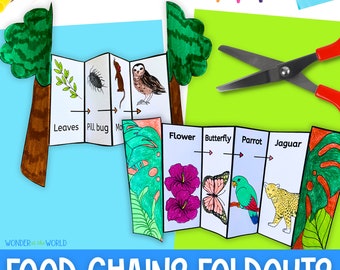 Food chains foldable activity for kids | A4 and 11x8.5 inch | Digital Download PDF | Science | Rainforest, ocean and woodland habitats