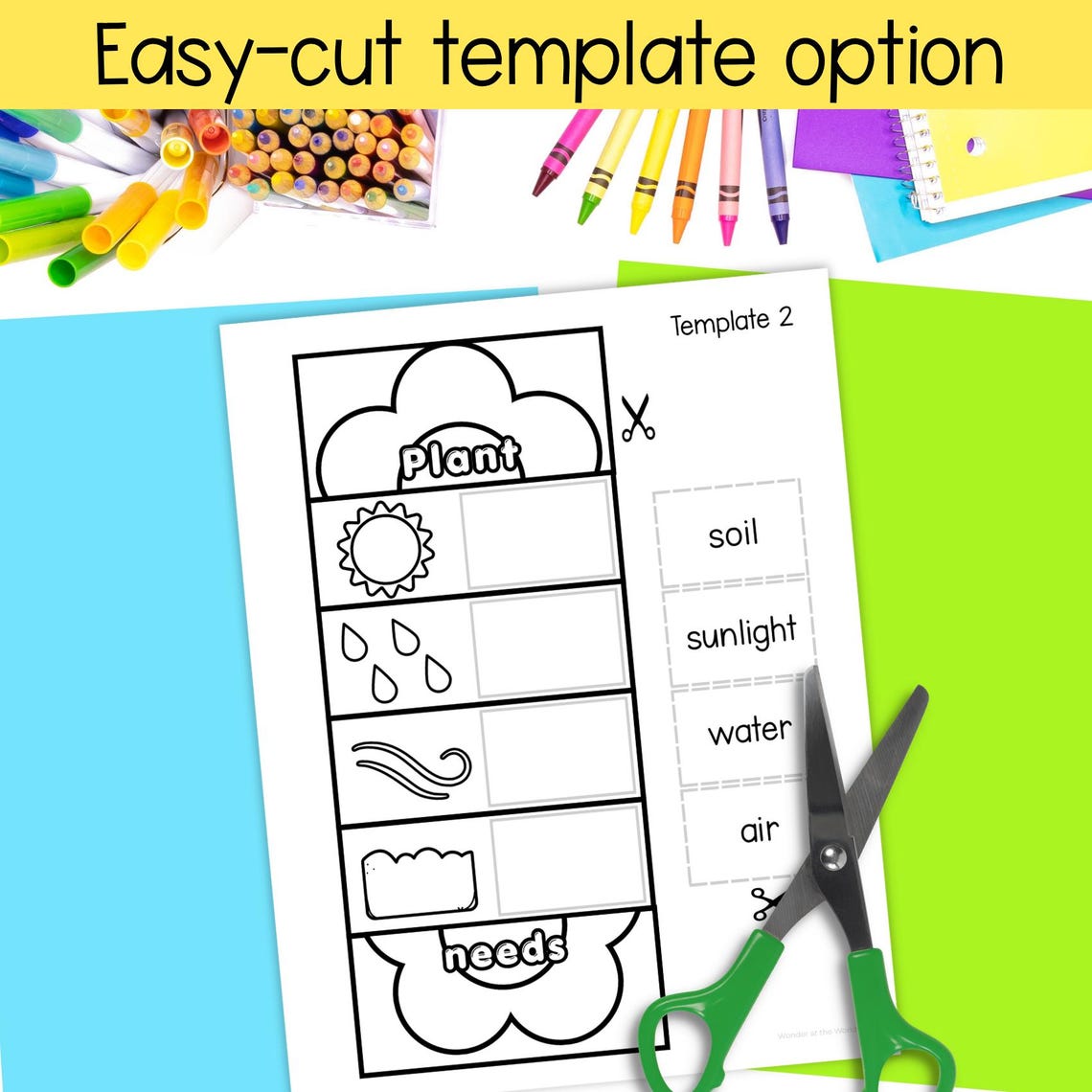 Spring Craftivity First Grade Plant Needs and Parts of a Plant Craft Kindergarten 1st Grade Spring ...