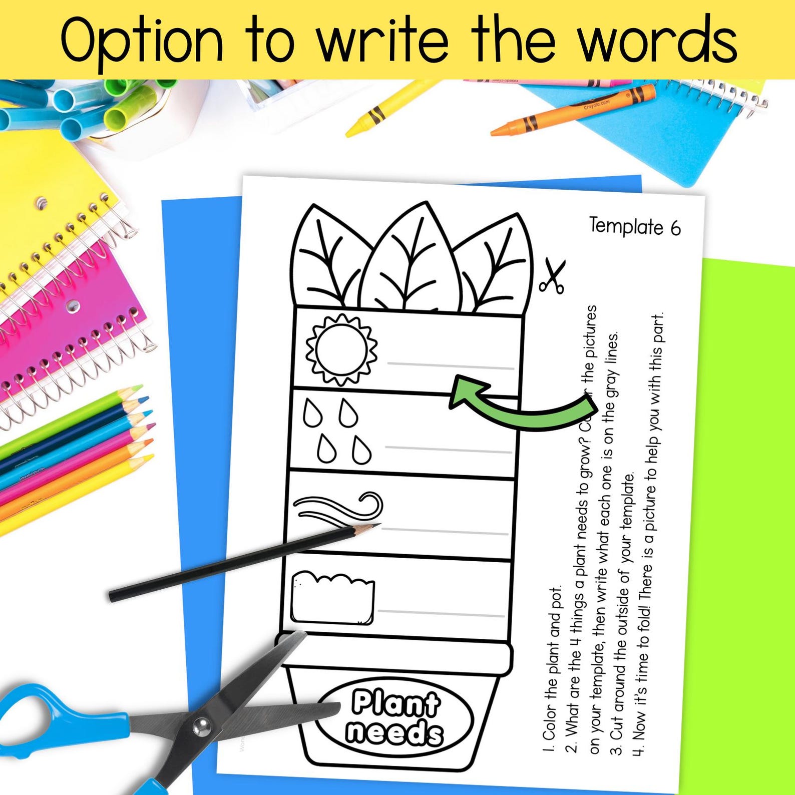 Spring Craftivity First Grade Plant Needs and Parts of a Plant Craft Kindergarten 1st Grade Spring ...