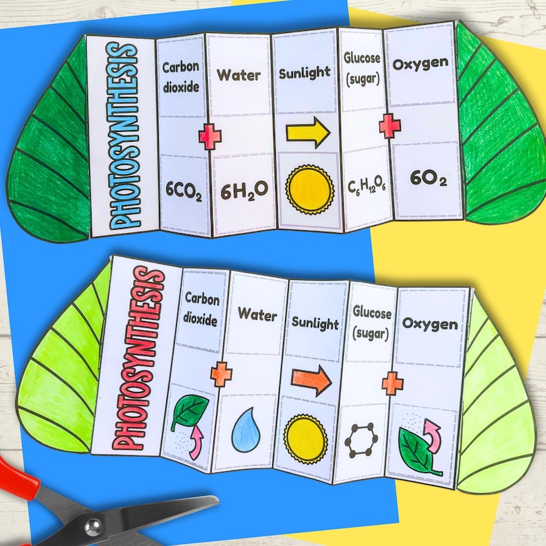 Pode incluir: Dois diagramas de papel em forma de folha ilustrando a fotoss&iacute;ntese. Os diagramas mostram o processo com r&oacute;tulos como "Di&oacute;xido de carbono", "&Aacute;gua", "Luz solar", "Glicose" e "Oxig&ecirc;nio". O texto "FOTOSS&Iacute;NTESE" &eacute; impresso verticalmente.