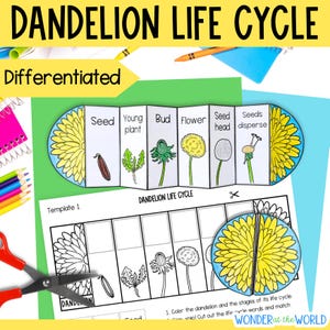 Life cycle of a dandelion flower plant foldable sequencing activity science cut and paste printable