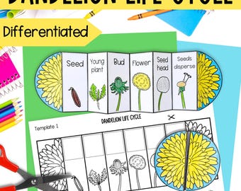 Life cycle of a dandelion flower plant foldable sequencing activity science cut and paste printable