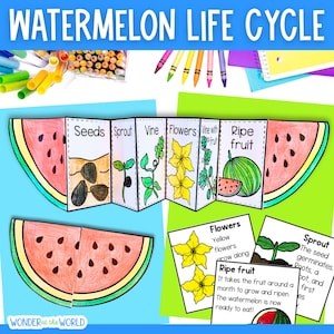 Life cycle of a watermelon plant sequence and fold kids' craft | A4 and 11x8.5 inch | Digital Download PDF | Science | Cut and paste
