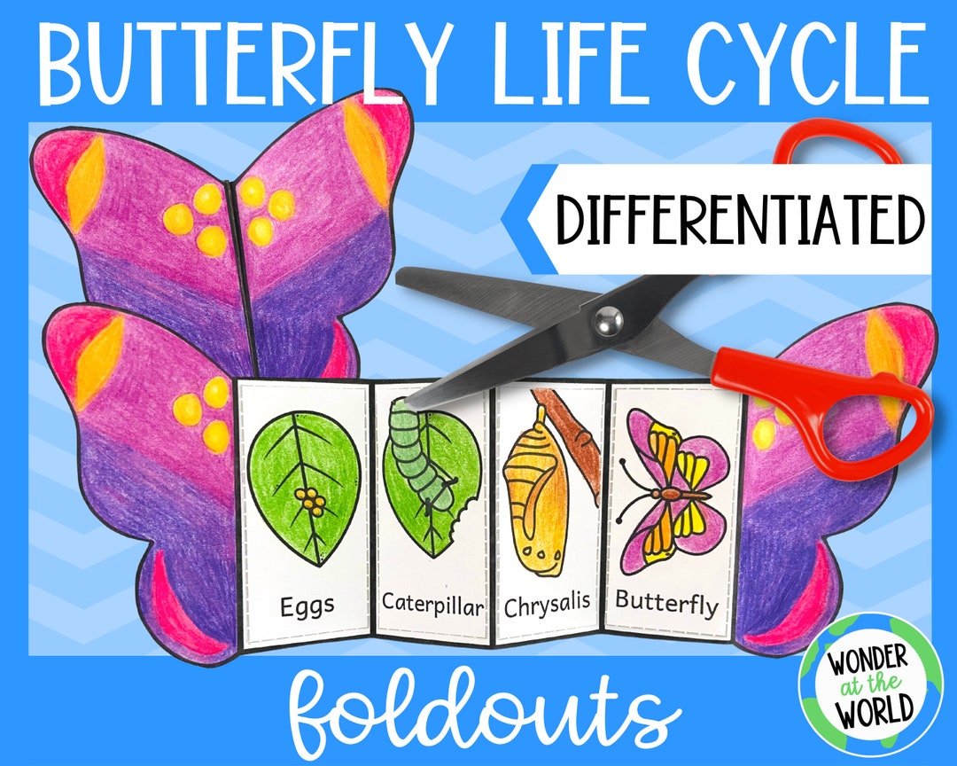 Life Cycle of a Butterfly Foldable Kids' Craft  A4 and