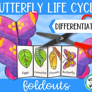 Life cycle of a butterfly foldable kids' craft | A4 and 11x8.5 inch | Digital Download | Science | Cut and paste