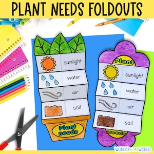 May include: Two colorful, folded paper cutouts with the text "PLANT NEEDS FOLDOUTS". One is a flower pot shape, the other a flower. Each shows sunlight, water, air, and soil. The text "Plant needs" is also visible.