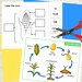Fall Autumn Plant Life Cycles Foldable Science Activities | Apple ...