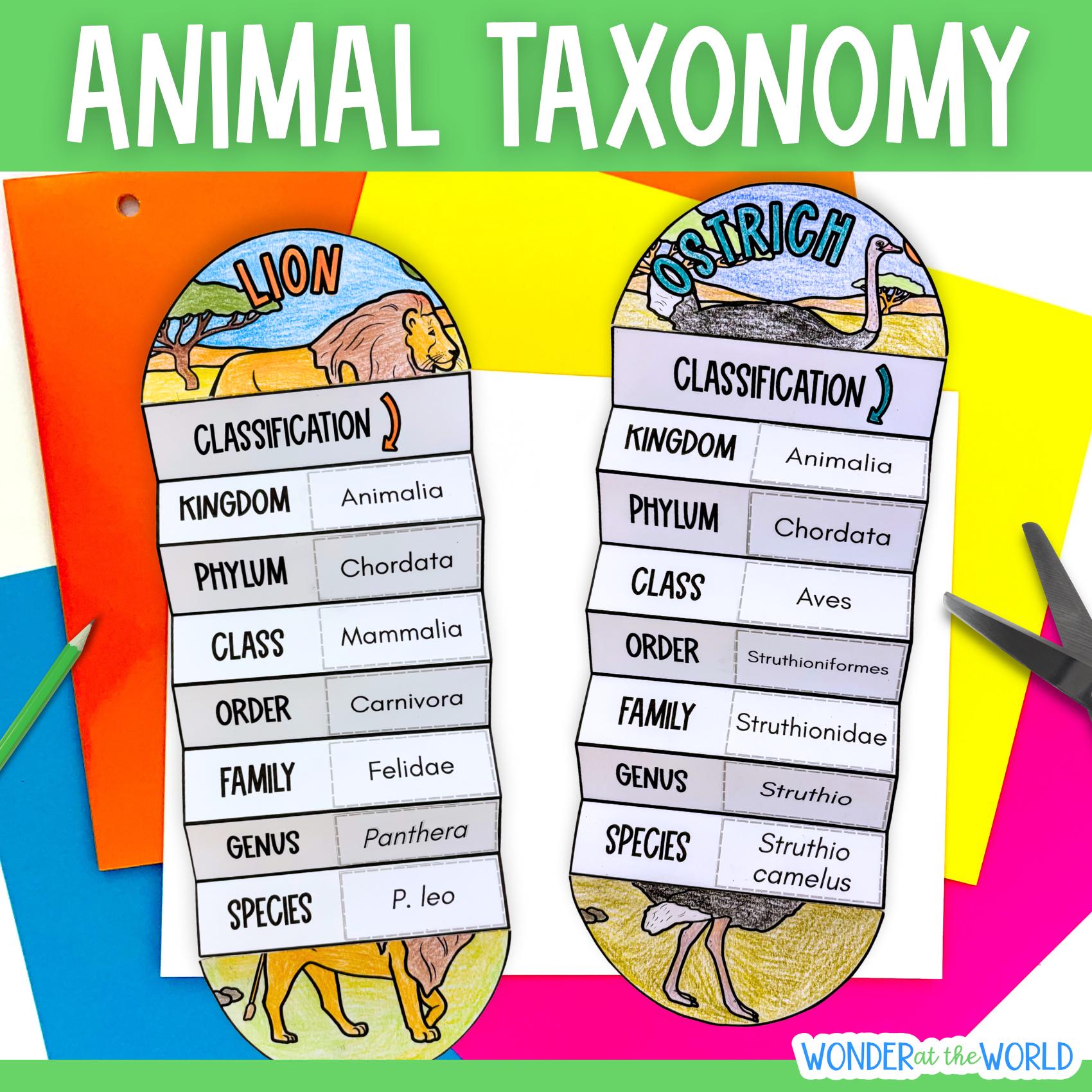 Animal Classification Taxonomy Research Cut and Paste Biology Activity ...