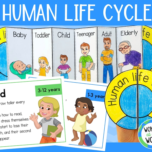 Human life cycle foldable sequencing activity for kids | printable US letter and A4 size | stages of human growth | digital download