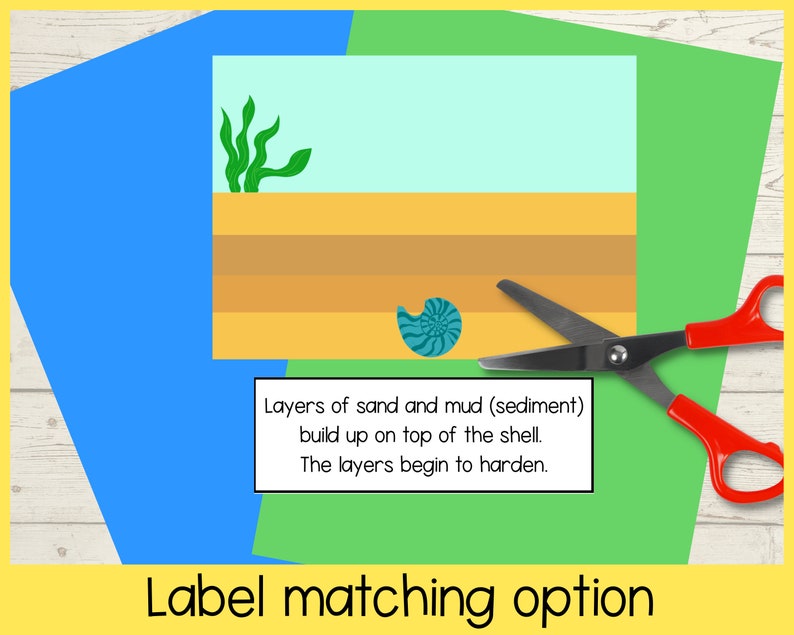 How a Fossil is Formed Printable Sequencing Activity for Kids | A4 and ...