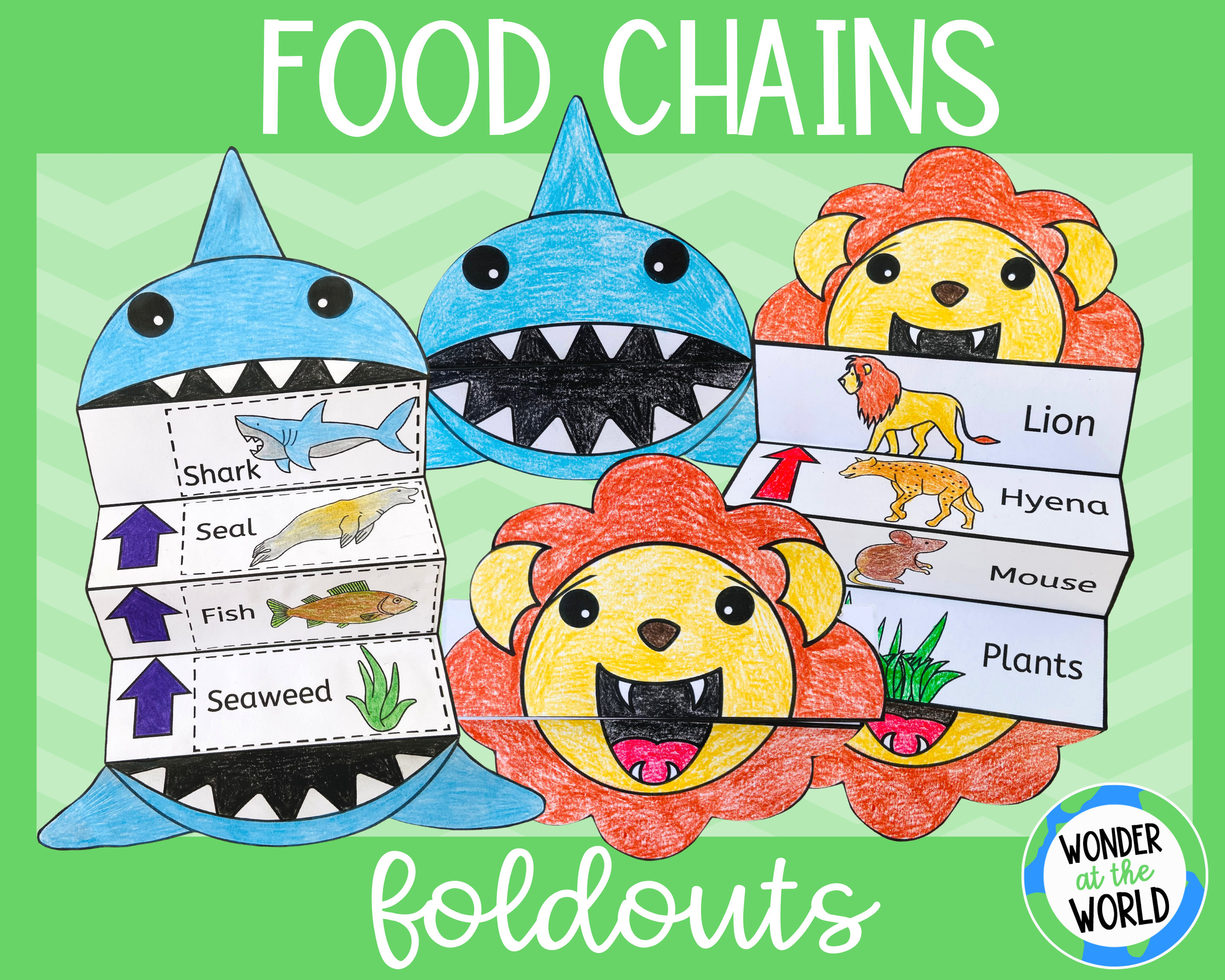 Food Chains Foldable Kids Craft A4 and 11x85 Inch Digital Download Biology Diagrams