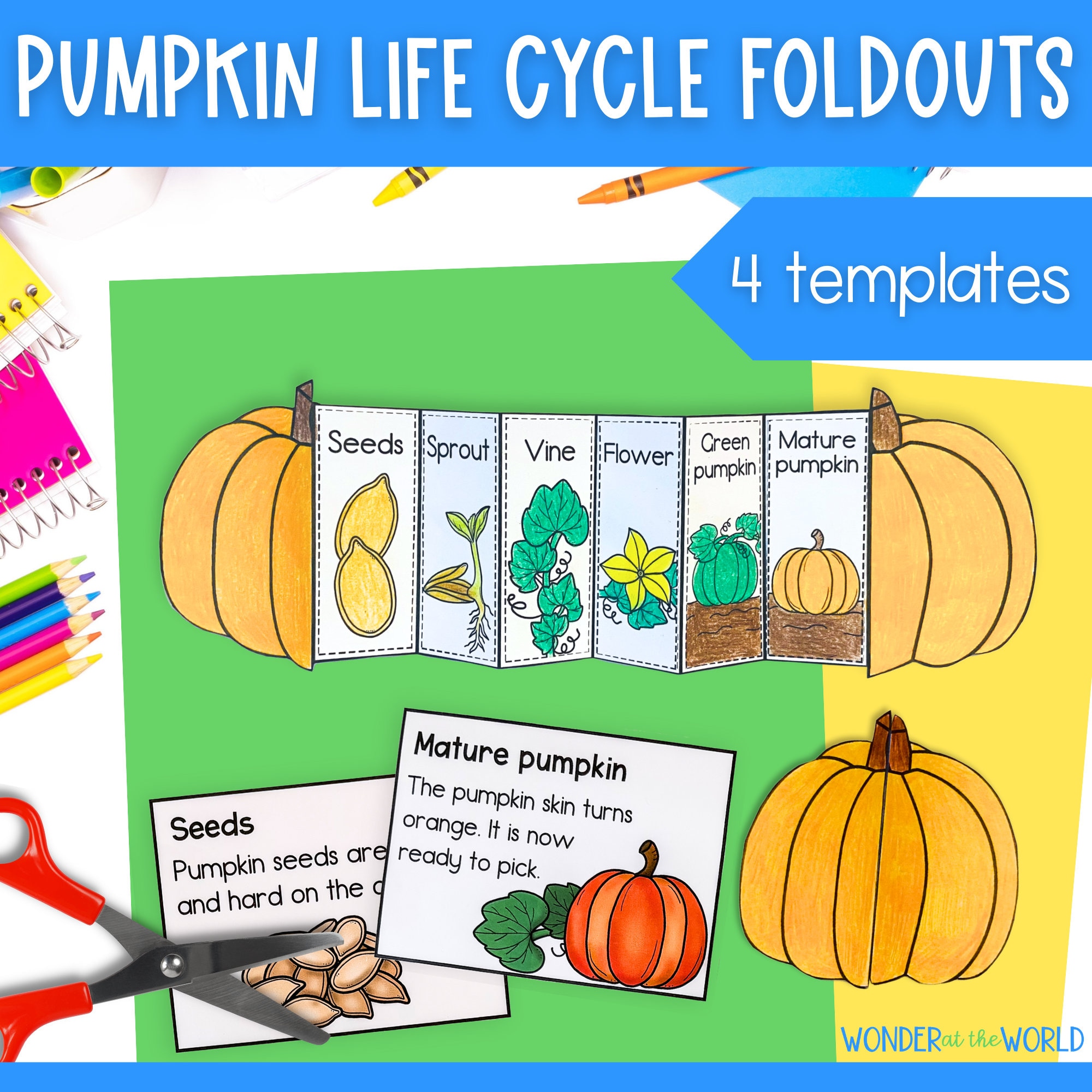 Life Cycle of a Pumpkin Foldable Activity for Kids | A4 and 11x8.5 Inch | Halloween | Autumn Fall | Science | Thanksgiving | Cut and Paste - Etsy for Life Cycle Of A Pumpkin Printable Free